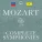 Les Musiciens du Louvre, Marc Minkowski - Mozart: Symphony No. 40 in G Minor, K. 550 - (2nd version) - 2. Andante
