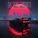 Dominic Donner - in the night