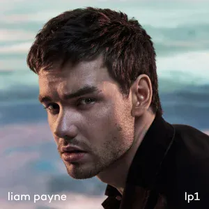 Liam Payne feat. Quavo - Strip That Down