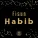 Fisun - Habib
