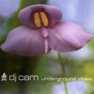 DJ Cam - The Return Of The Jedi