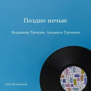 Владимир Трошин - Поздно ночью