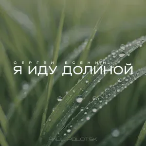Paul Polotsk - Песнь о собаке