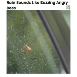 Rain Sounds Nature Collection - Petrichor