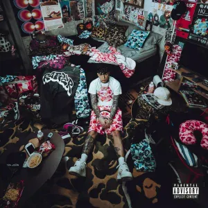 Niky Savage, Blssd feat. 22simba - SPOILER 2 (feat. 22simba)
