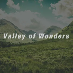 Narcotic Chill - Valley of Wonders