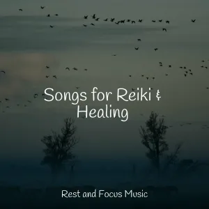 Saludo al Sol Sonido Relajante, Relaxation Music Guru, Life Sounds Nature - In Dreams