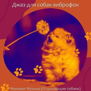 Джаз для собак виброфон - Звуки (Милые Собаки)
