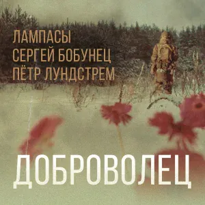 Лампасы feat. Сергей Бобунец, Пётр Лундстрем - Доброволец