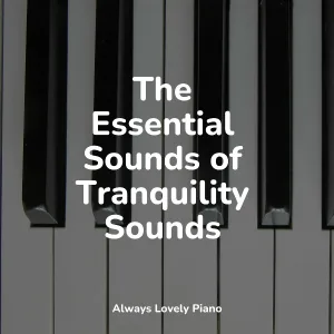 RPM (Relaxing Piano Music), Peaceful Piano Chillout, Calming Baby Sleep Music Club - Dreamscapes