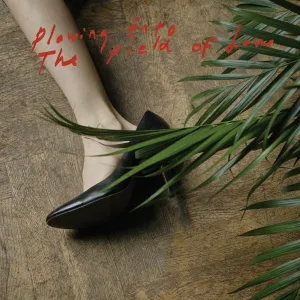 Iceage - Stay