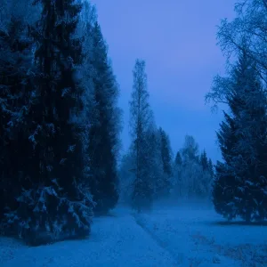 Полночь Зимы - У ворот ветра