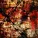 Fragility# - brainrot