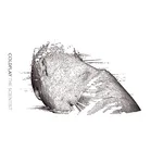 Coldplay - The Scientist