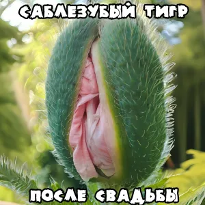 Саблезубый Тигр - После свадьбы