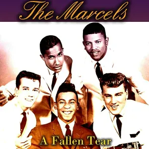 The Marcels - Goodbye to Love