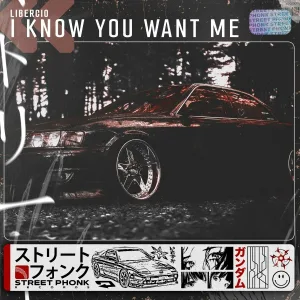 Libercio - I know you want me