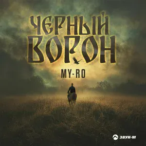 MY-RO - Черный ворон