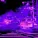 SCARY RUSLAN - ФОНК 2024 (Slowed + Reverb)