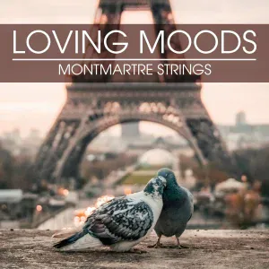 Montmartre Strings - Fascination