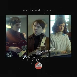 Сова - Первый снег