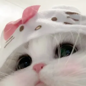 dreamsoda - Bimbo Doll