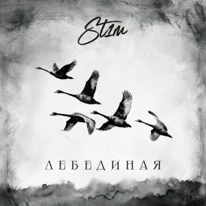 ST1M - Укрою