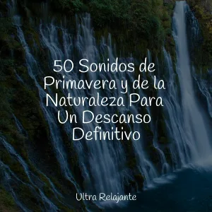 Massagem, Canciones de Cuna para Bebés Académico, Cascada de Lluvia - Mundo De Sueños