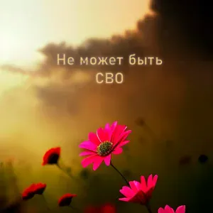 Не может быть - СВО