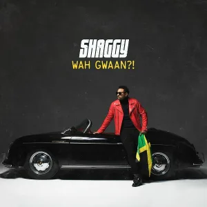 Shaggy feat. Olaf Blackwood - Love Me Now