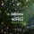 Bobina, Christina Novelli - Mysterious Times (Extended Mix)