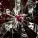 Amaranthe - Fury