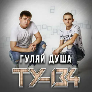ТУ-134 - Алые цветы