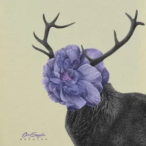 Ours Samplus - Exode