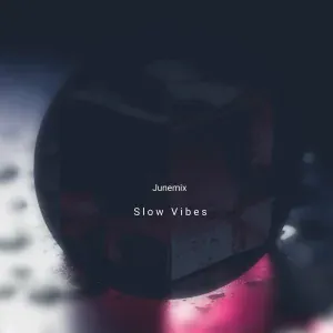 Junemix - Need To Fly