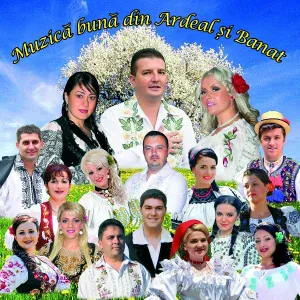 Marius de la Arad - Mi-I Vremea De Insurat