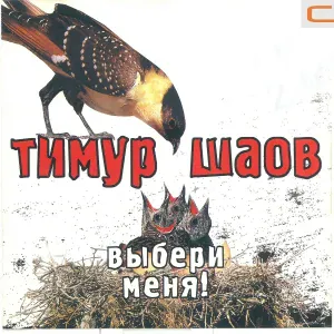 Тимур Шаов - Наша борьба