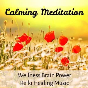 Relaxing Music Spirit - Zen Before Midnight