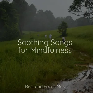 Deep Relaxation Meditation Academy, Amazing Spa Music, Yoga Music - Soul & Dance