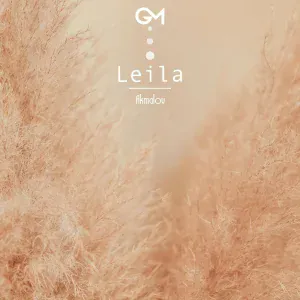 Akmalov - Leila