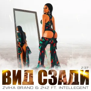 Zvika Brand, 242 feat. Intellegent - Вид сзади (feat. Intellegent)