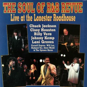 The Soul Of R&B Revue - I Can't Stand It