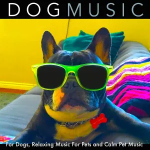 Dog Music - Dog Music for Dogs