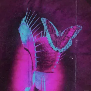 Immortal Spich - Sky