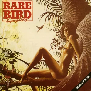 Rare Bird - What You Want To Know