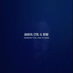 JAHAYA, Ctrl+A, REMI - Somebody That I Used to Know