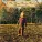 The Allman Brothers Band - Wasted Words