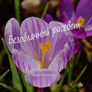 Виктор Лепетюхин - Безоблачный рассвет