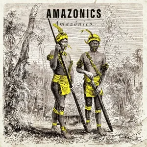 Amazonics - Like a Rolling Stone