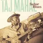 Taj Mahal - Mr. Pitiful